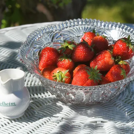 Vangsgaarden Maison d'hôtes Aurland